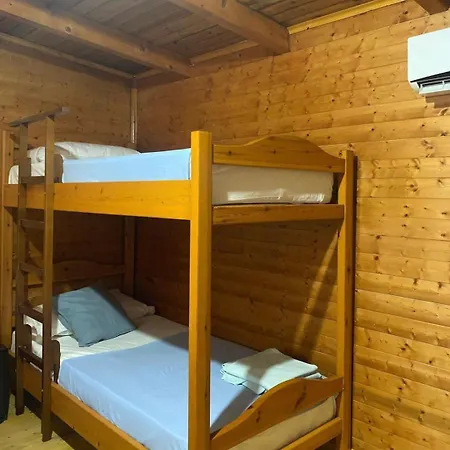 Violet Village * Borsh