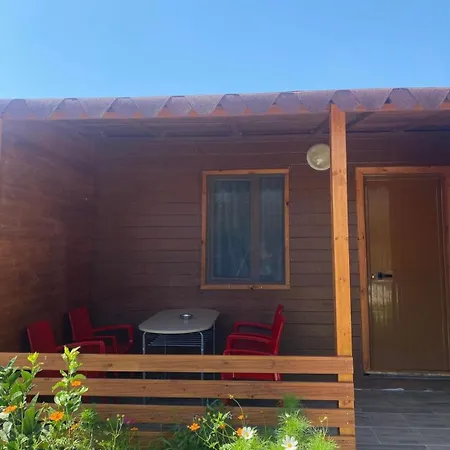 Violet Village * Borsh