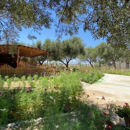 Violet Village Semesterpark Borsh