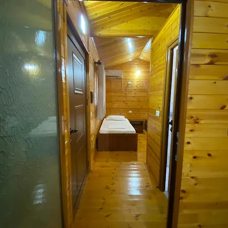 Violet Village Borsh