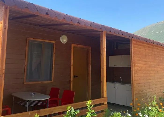 Violet Village Borş