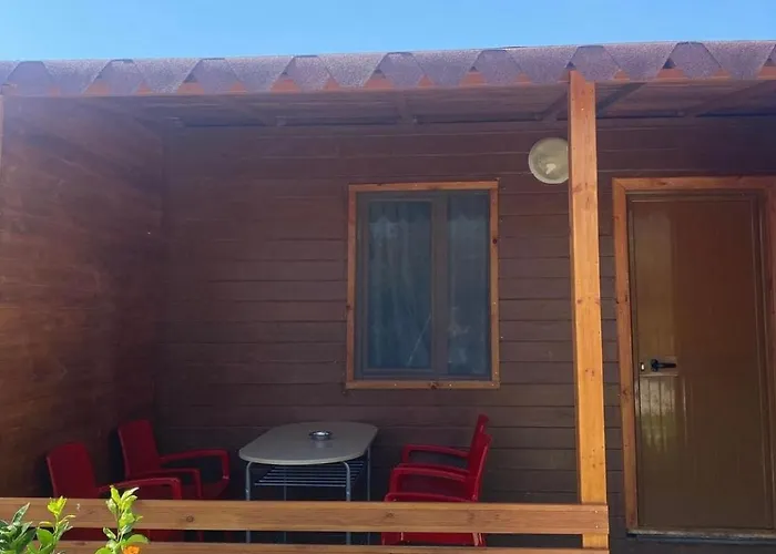 Violet Village * Borş