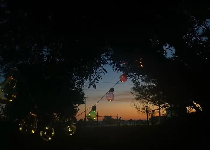 Tatil parkı Violet Village *