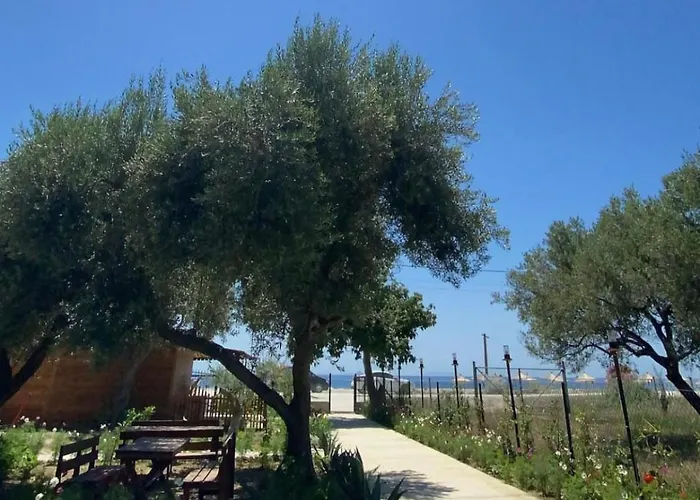 Violet Village Tatil parkı