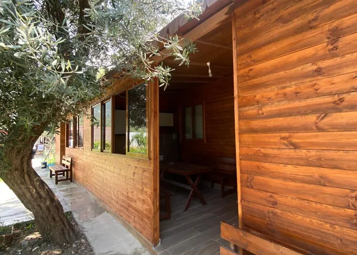 Violet Village Tatil parkı Borş