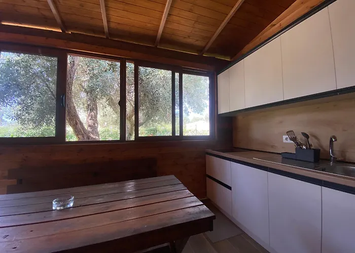 Violet Village Borş