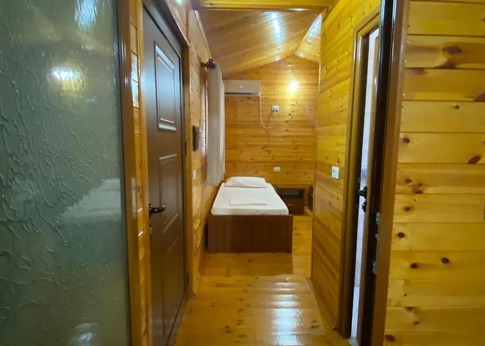 Violet Village Borş