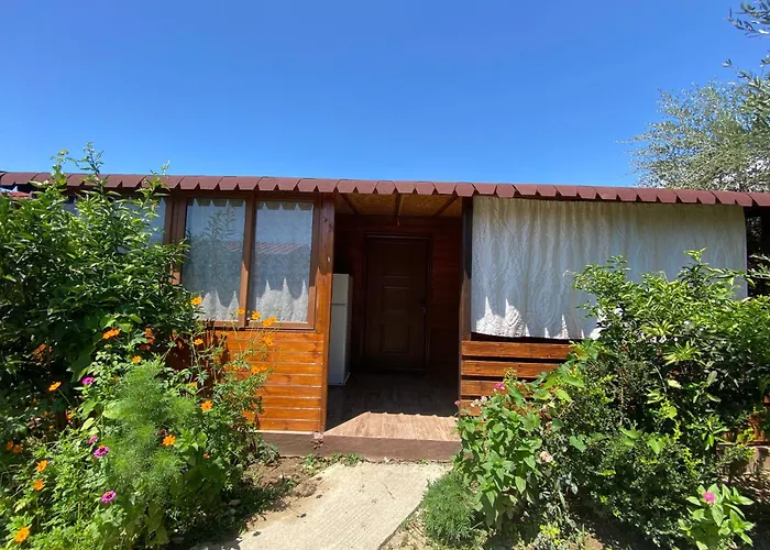 Tatil parkı Violet Village *