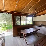 Violet Village База отдыха *