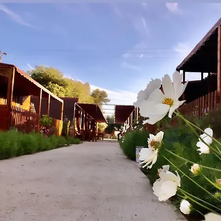 Violet Village Prázdninový areál