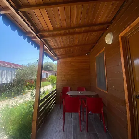 Violet Village * Borsh