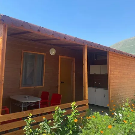 Violet Village Borş