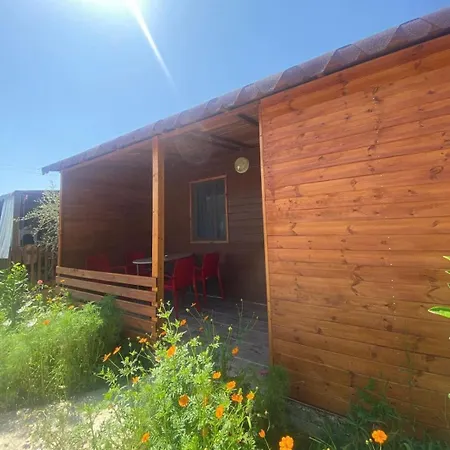 Violet Village Tatil parkı