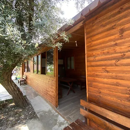 Violet Village Tatil parkı Borş
