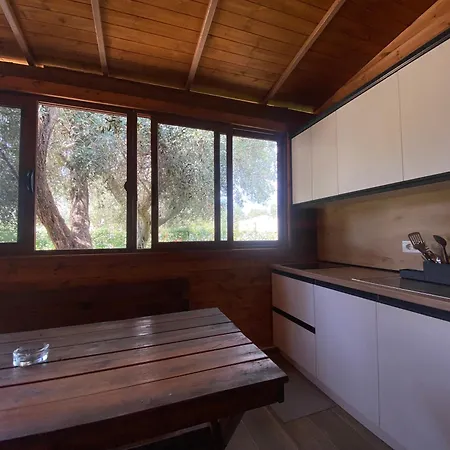 Violet Village Borsh