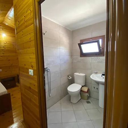 Violet Village Borsh