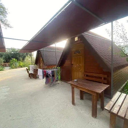 Violet Village